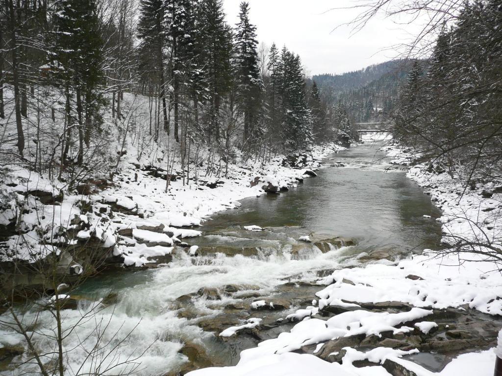 Tsvit Paporoti